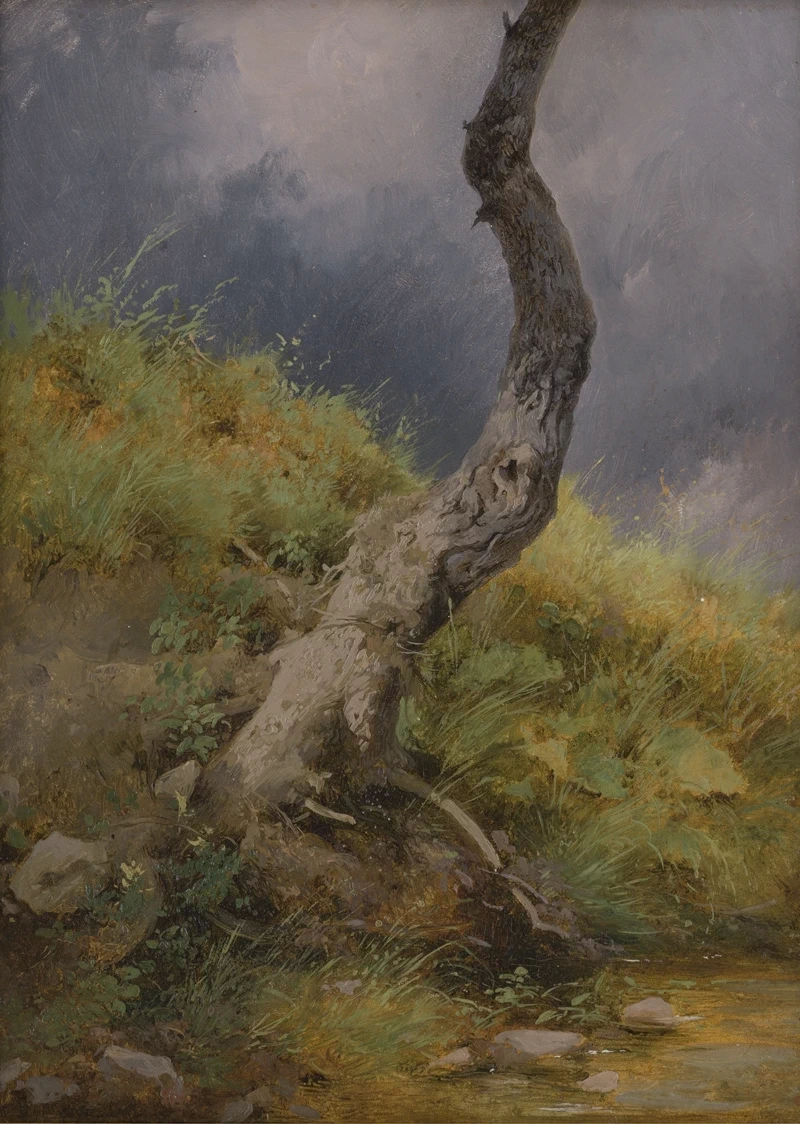 Studio di un pendio di prato sassoso con un albero nodoso
